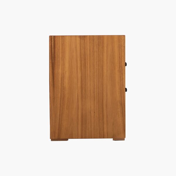 Buro singapur juvenil