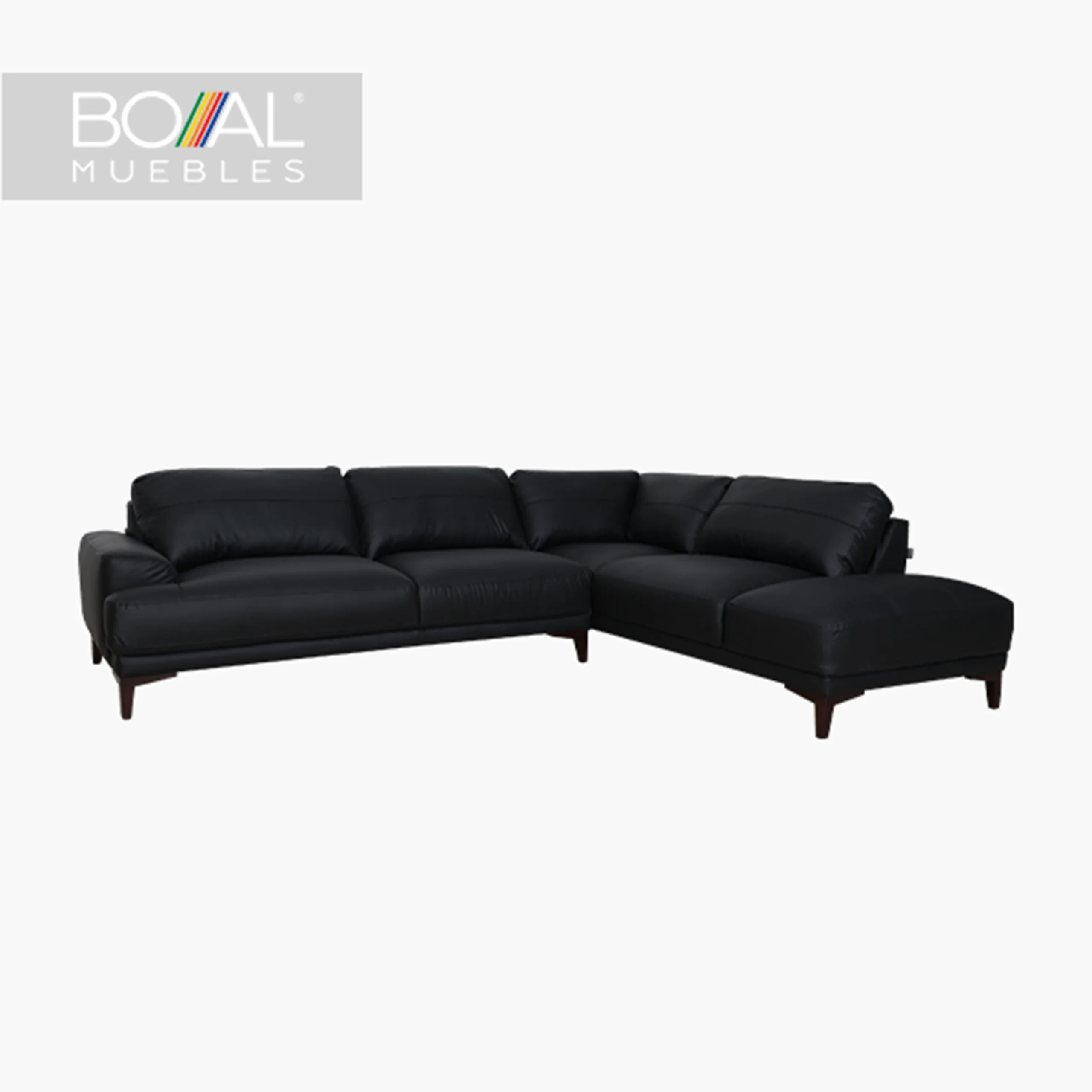 Logo Boal 2 scaled
