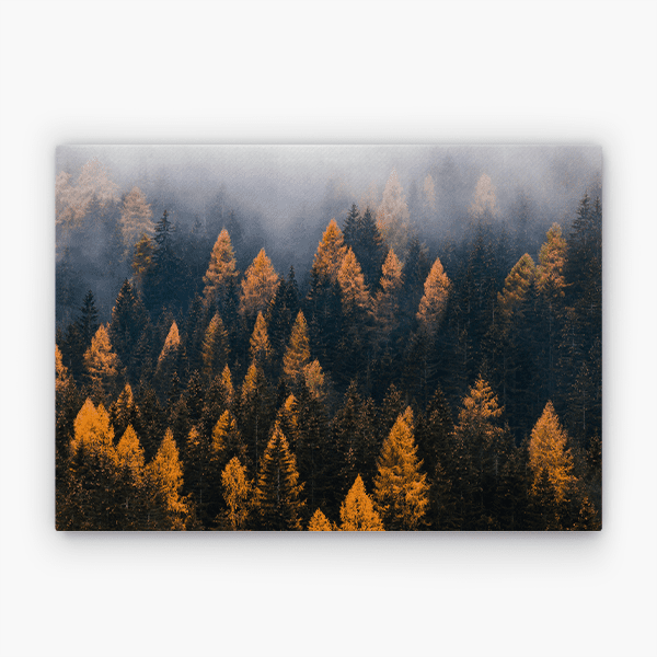 Bosque Neblina 600 Bosque Neblina