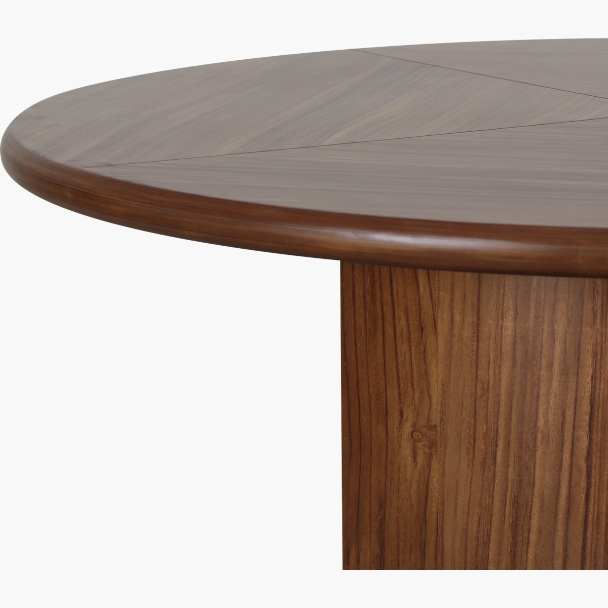 Copper Parota_3 Copper Parota