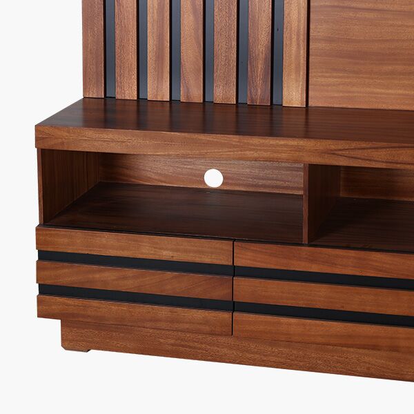 Betania Porta TV Detalle 1 Centro para TV Betania Parota - detalle