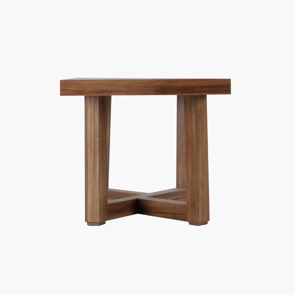 Mesa Central Ximena Parota