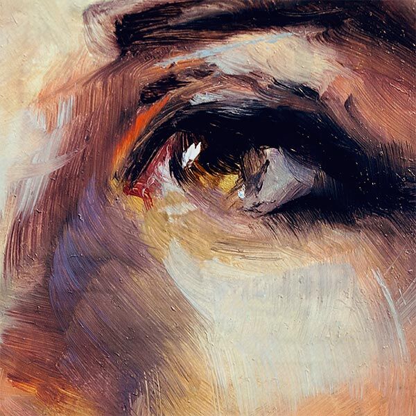 La Mirada Oleo closew Canvas Cuadro Mirada Oleo - acercamiento