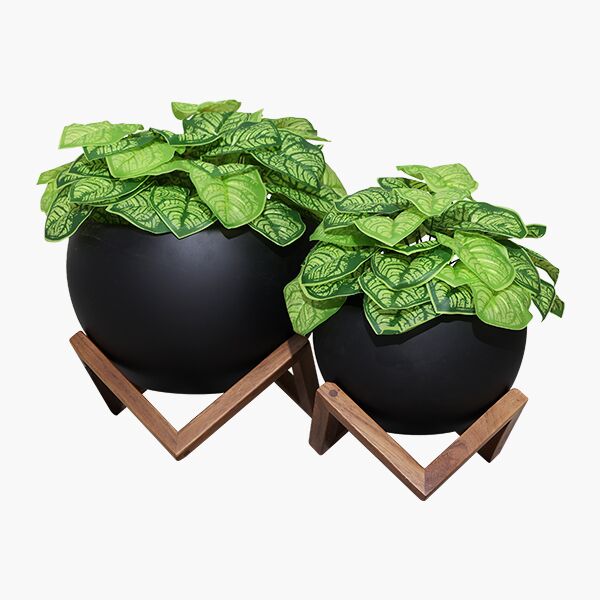 Dali Matte 5 Juego de Boteros Dali Claro Negro (2pz) - Vidrio en Negro, Parota Sólida, Plantas artificiales
